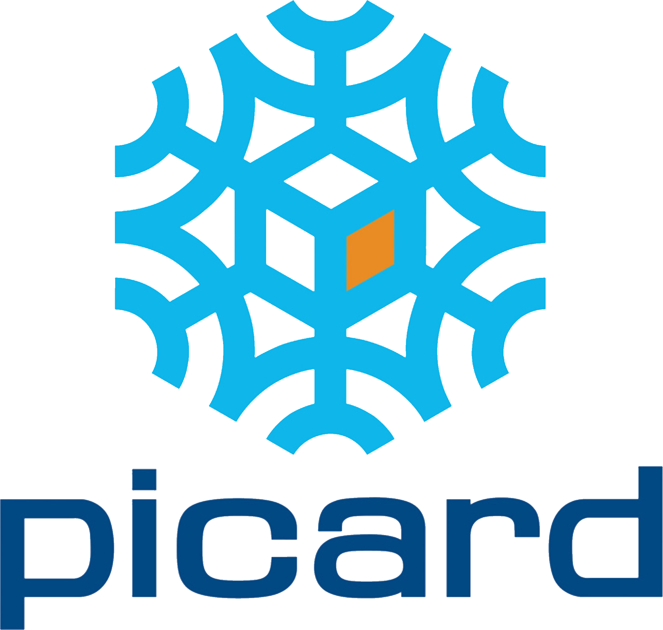 logo enseigne Picard